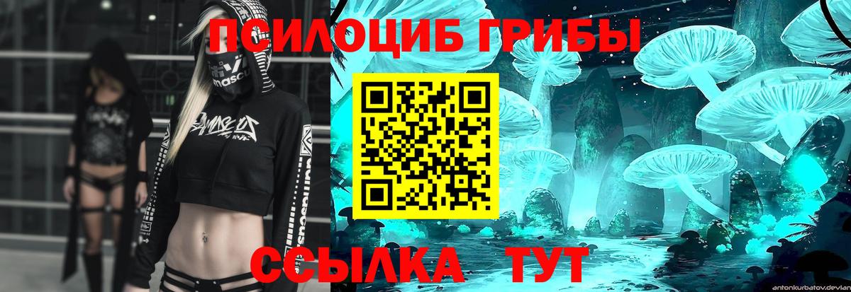где можно купить наркотик  Вход с VPN  Владикавказ  Галлюциногенные грибы мицелий 