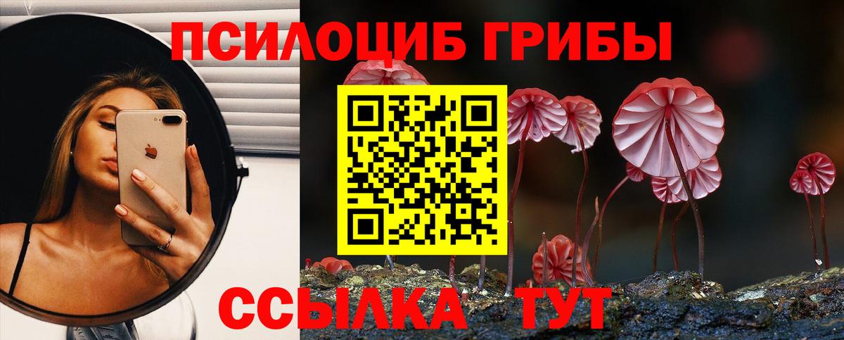 Псилоцибиновые грибы прущие грибы Владикавказ